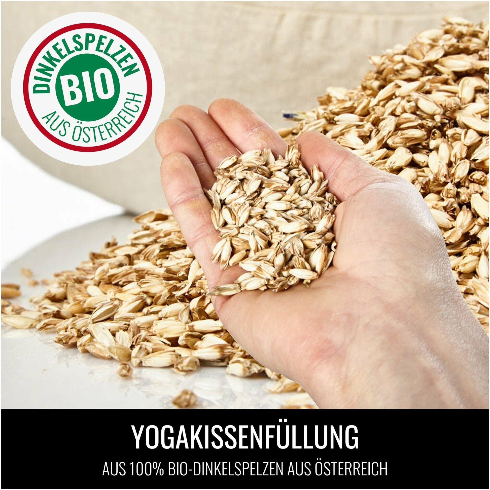 Yogakissen in verschiedenen Farben - Gorilla Sports DE